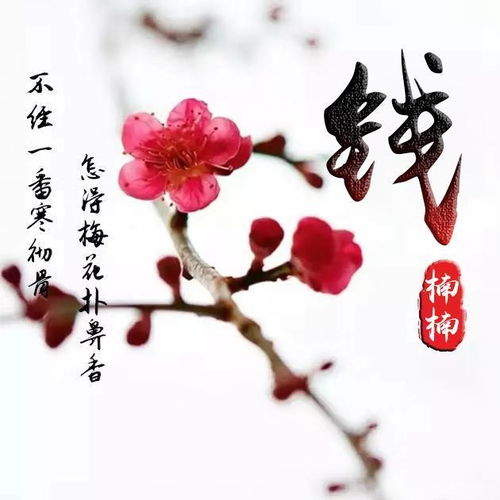 青山绿水美好河山,唯美中国风名字微信头像,让你的心回归宁静