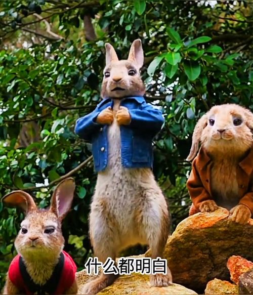 你听过这首歌吗到晚上的想哭,但我不能哭人生感悟兔牙牙动漫