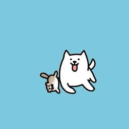 妞妞和端午,么么哒,朋友圈