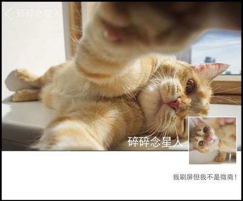 我看了5000人的微信签名发现了
