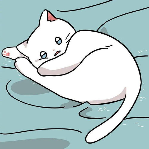 头像你是哪个村的猪这么膨胀