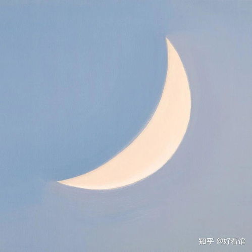 小清新唯美头像小清新简约头像好看又独特的头像微信头像简单漂亮女生头像森系小清新唯美简约温柔头像简单干净小清新头像简约情头黑白文艺极简干净的图片