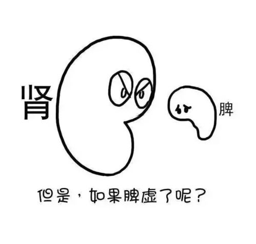 湿气是怎样形成的,一图秒懂漫画版