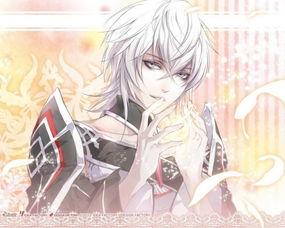一个日本动漫兄妹很聪明妹妹白长发不怎么说话喜欢她哥哥