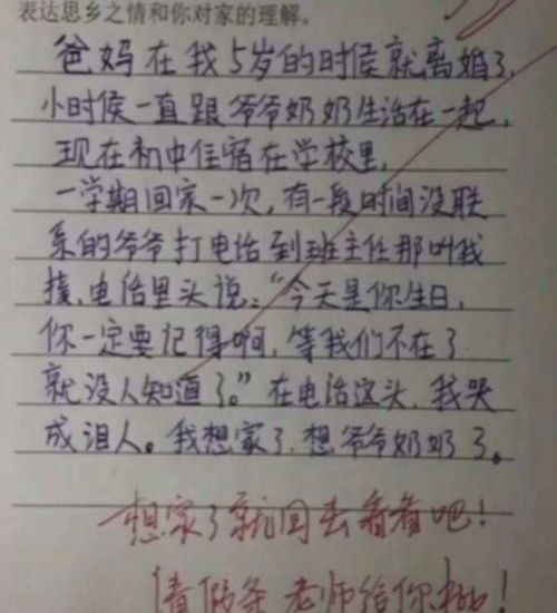 小学生满分作文孤独,全篇没有孤独二字,却把老师看哭了