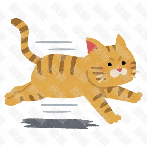 快速奔跑的小狗狗猫咪小猫手绘卡通插画手绘png儿童插画免扣素材2阿猫阿狗