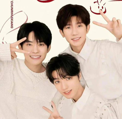 tfboys十周年演唱会即将确定网友喜忧参半