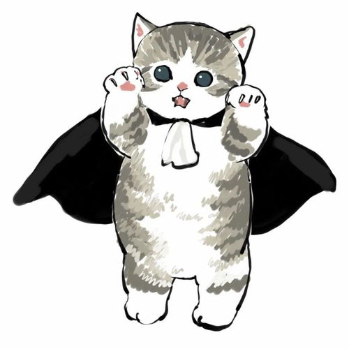 可爱猫咪插画头像