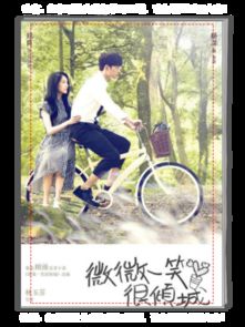 情侣微微一笑杨洋郑爽a4杂志册32p