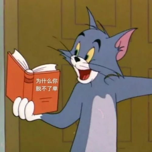 头像猫和老鼠系列