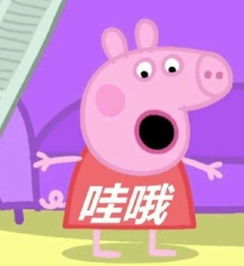 小猪配齐是什么意思小猪配齐是什么梗