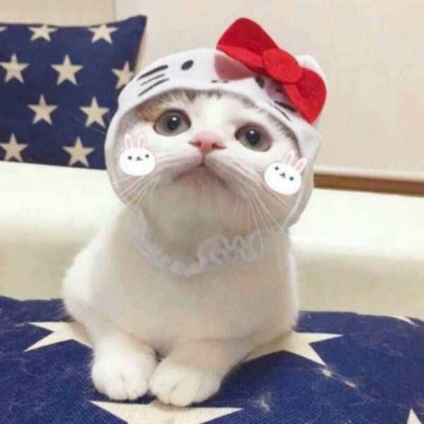 谁有这张图片