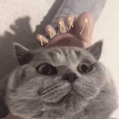 一左一右小猫情头可人头像