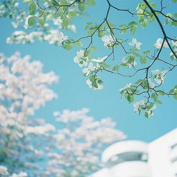 初二上数学知识点第三章平面直角坐标系