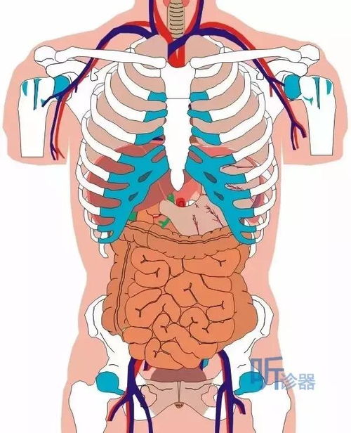 10点前上床睡觉你就能貌美如花