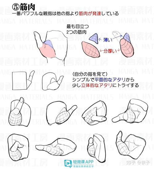动漫素描基础教程,新手必看素描基础教程