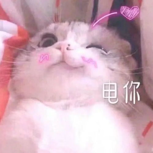 谁还不是个宝宝呢今日份甜甜的食物get