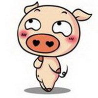 真实可爱猪头像图片微信头像图片大全