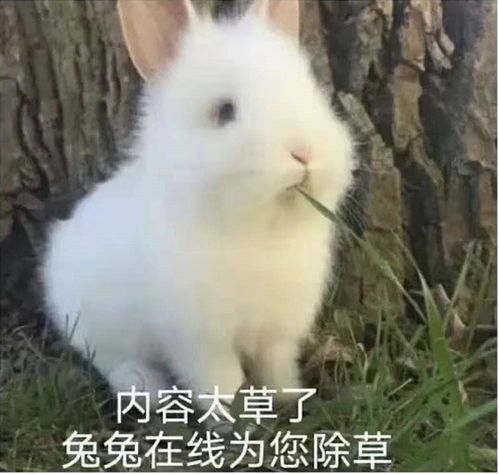 拿什么拯救你,我的理财收益率