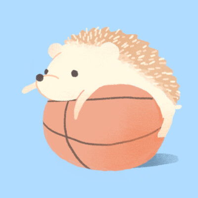 刺猬刺猬图片堆糖,美图壁纸兴趣社区