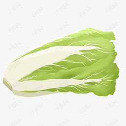 食物类蔬菜大白菜手绘素材图片免费下载高清psd千库网图片编号11771341