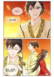 漫画版微微一笑很倾城芦苇微微与一笑奈何