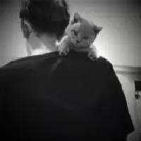 抱着猫咪的男生头像图片微信头像图片大全