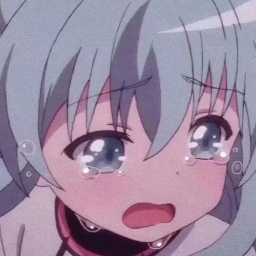 同学,欢迎来看看如此唯美的我,