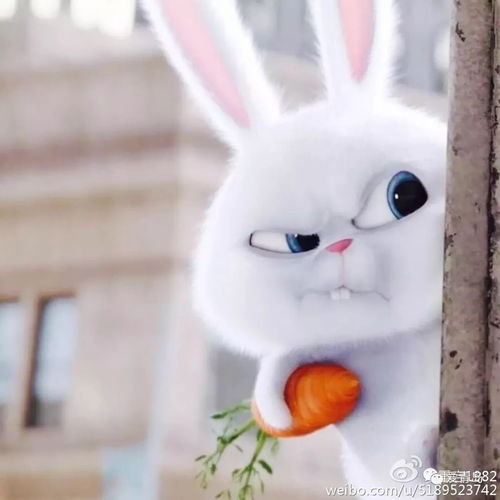 逗萌爆表的走心动画