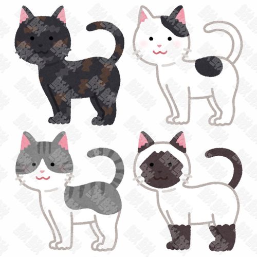 灰暹罗奶牛色各种颜色侧面照的小猫猫咪手绘卡通插画手绘png儿童插画免扣素材1阿猫阿狗