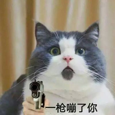 对她来说,用她小小的身躯来对付重量级美女是一种耻辱