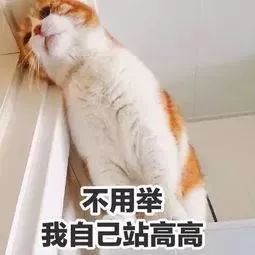 在佛山,胖子是要被宠的