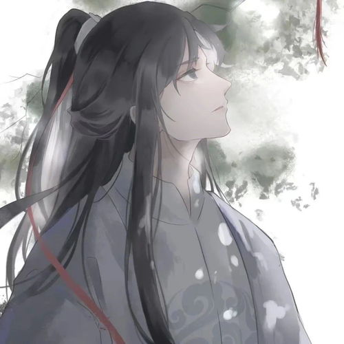 有什么好看的古风漫画男头吗