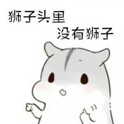 超萌可爱的小仓鼠qq搞笑头像你都不值得我为你洗头