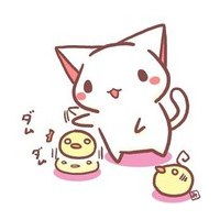 这两只小猫叫什么
