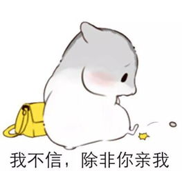 本周末到五龙山怎么玩最实惠90的人不知道