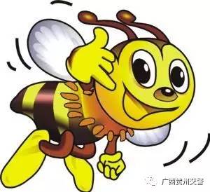 锋哥交警代表勤劳的小蜜蜂
