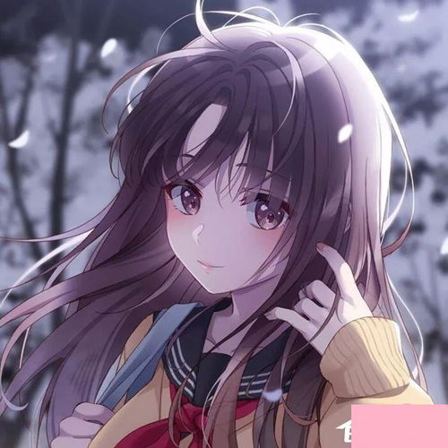电脑系统小知识2020抖音女生昵称大全有哪些受欢迎的女生抖音名字都在这