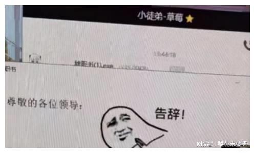00后辞职申请走红,既搞笑又不缺少幽默,网友看后竖起大拇指