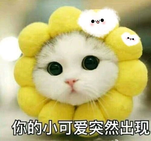 day1闪耀暖暖搭配你的单品为什么可以这么好看