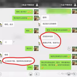 多新鲜金毛不吃肉开始吃青菜网友呵,谁知道你饿了它多久