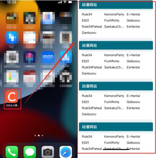苹果ios在safari浏览器中将网页添加到主屏幕做伪webapp,自定义图标,启动动画,自定义名称,全屏应用pwa