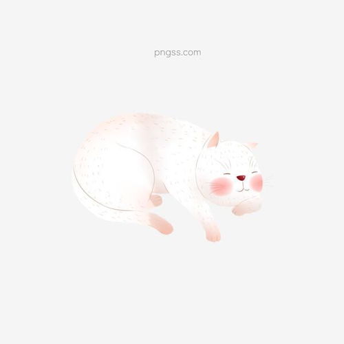卡通萌宠猫咪动物设计图片大小2000x2000px图片尺寸451.58kb来自png搜索网pngss.com免费免扣png素材下载动物卡通可爱猫咪萌宠喵喵清新小猫装饰图案