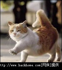 超萌的喵星人小猫qq头像大全
