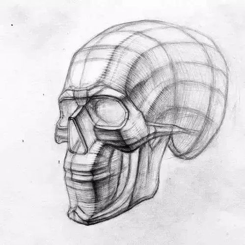 有了这些素描绘画资料,连书都不用买了肯定能帮到你