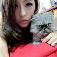 爱人一男一女抱猫头像,情侣头像图片