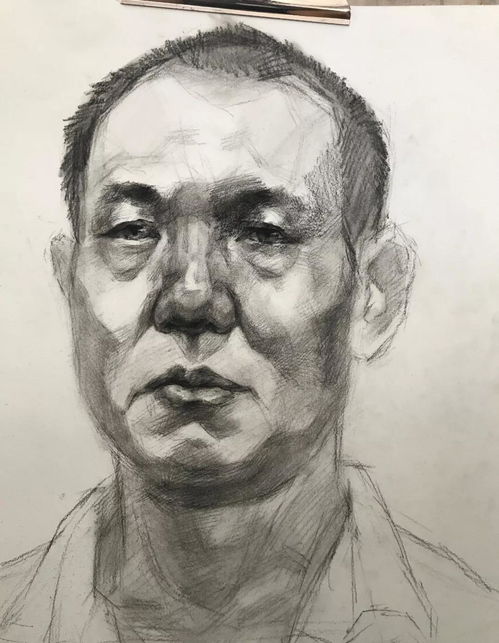 零基础素描入门如何学素描基本功教程附全套视频下载