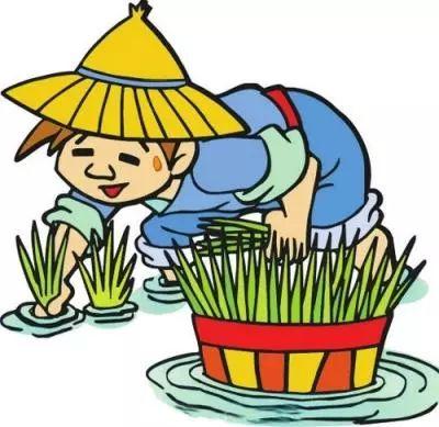 陷于忙乱