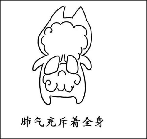 为什么减肥先要排寒祛湿一组漫画告诉你
