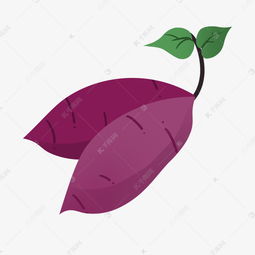 卡通新鲜地瓜红薯番薯png免抠素材图片免费下载千库网